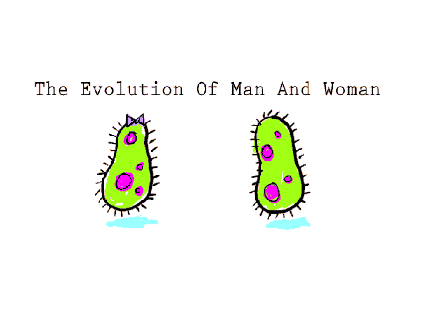 Splanchnologie generale; Pelvis-Perinée système reproducteur (homme et femme)1 page 55