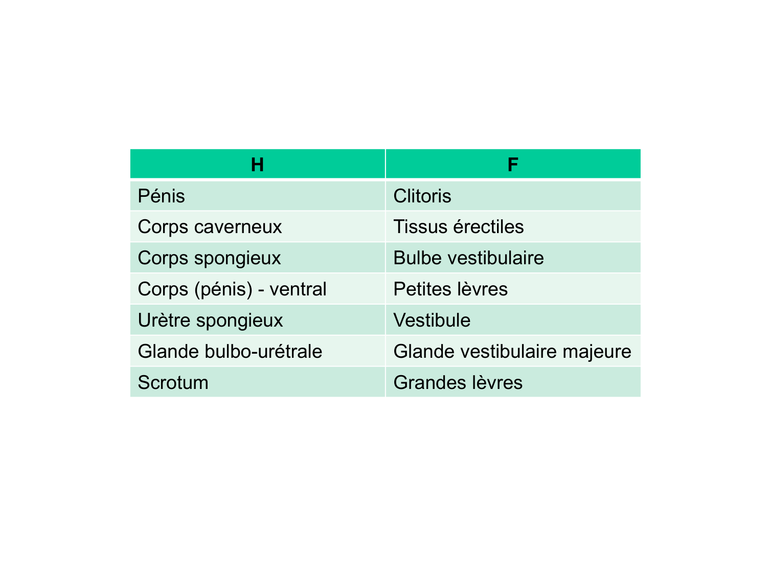 Splanchnologie generale; Pelvis-Perinée système reproducteur (homme et femme)1 page 59