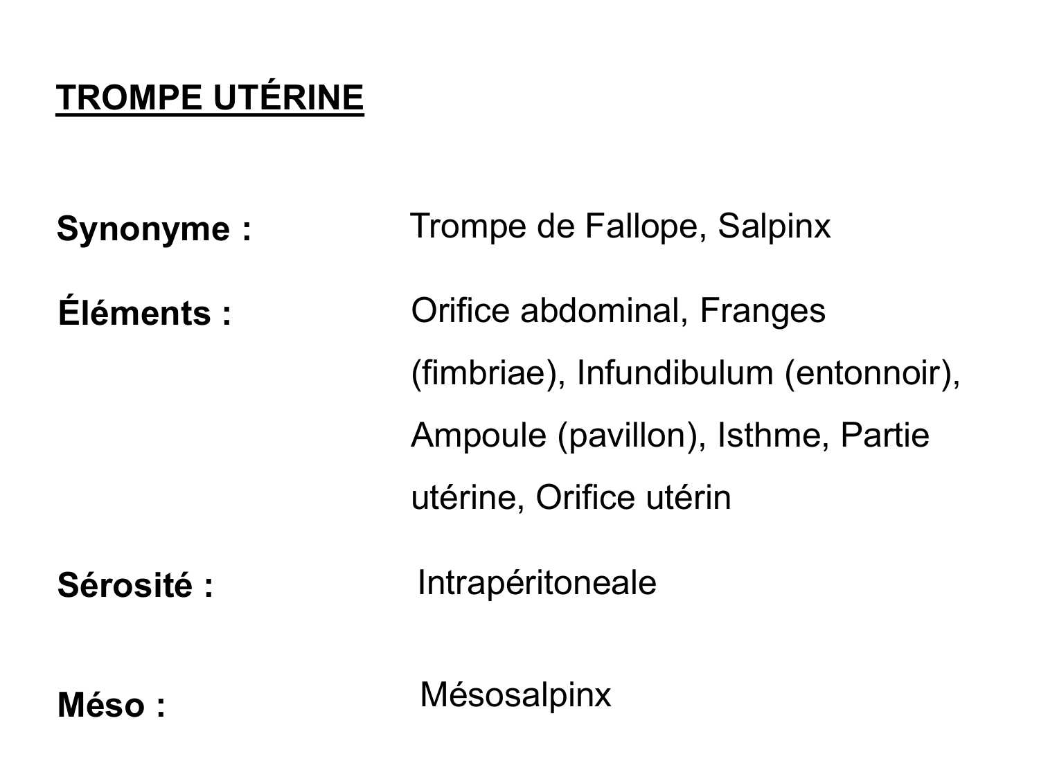 Splanchnologie generale; Pelvis-Perinée système reproducteur (homme et femme)1 page 107