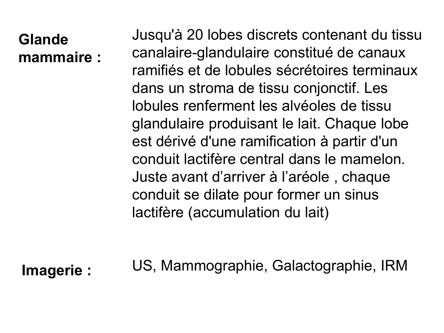 Splanchnologie generale; Pelvis-Perinée système reproducteur (homme et femme)1 page 128