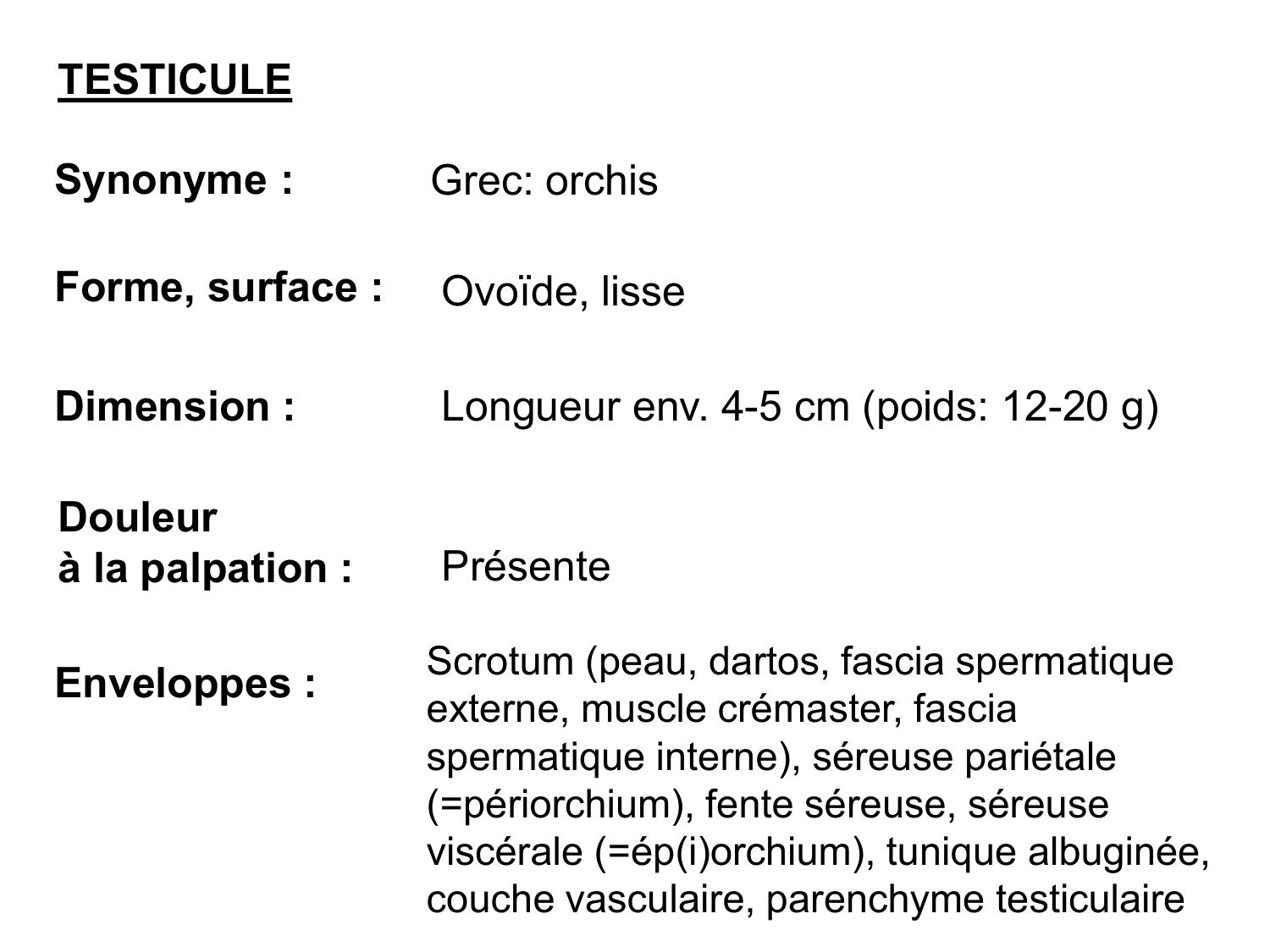 Splanchnologie generale; Pelvis-Perinée système reproducteur (homme et femme)1 page 138