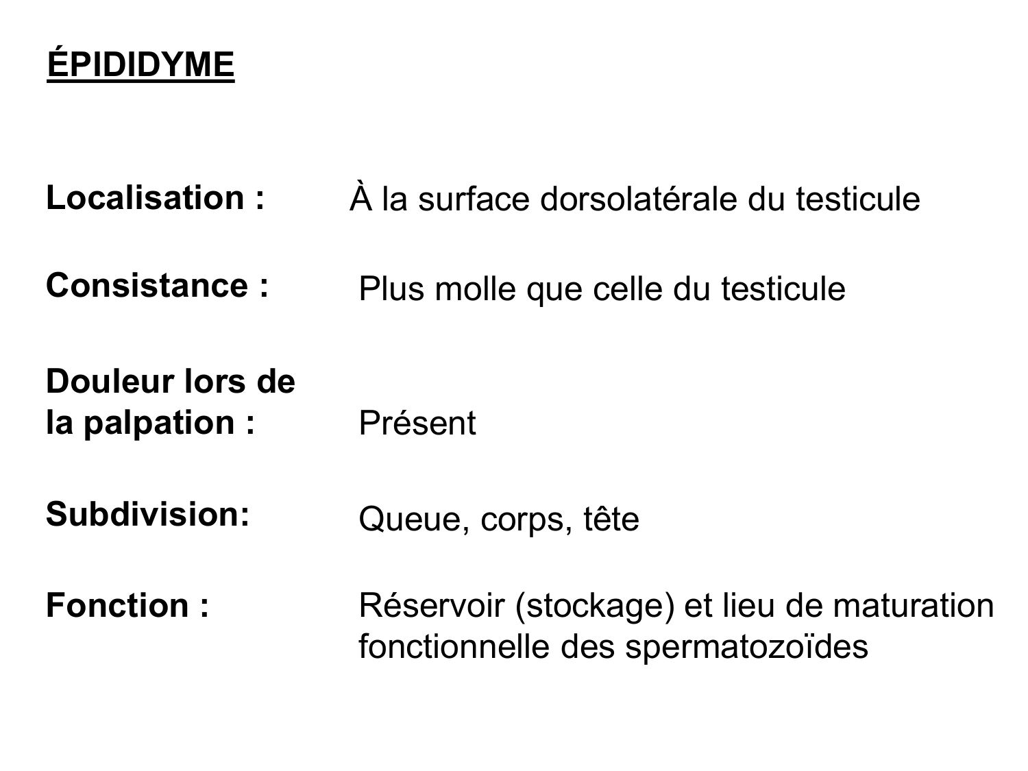 Splanchnologie generale; Pelvis-Perinée système reproducteur (homme et femme)1 page 148