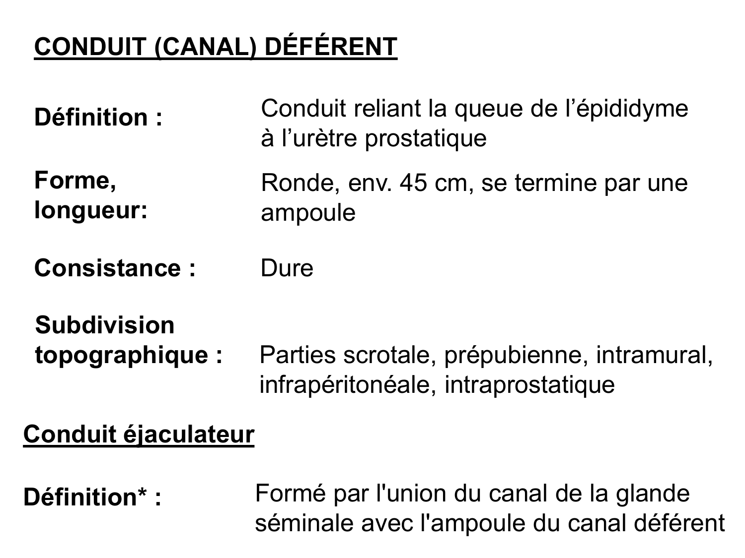 Splanchnologie generale; Pelvis-Perinée système reproducteur (homme et femme)1 page 152