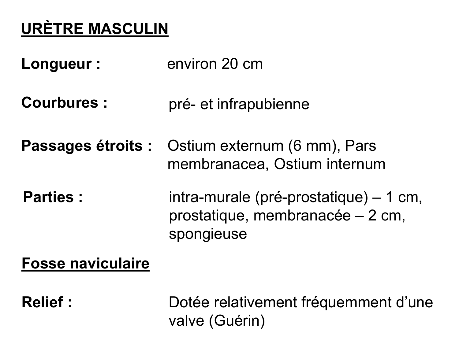 Splanchnologie generale; Pelvis-Perinée système reproducteur (homme et femme)1 page 169