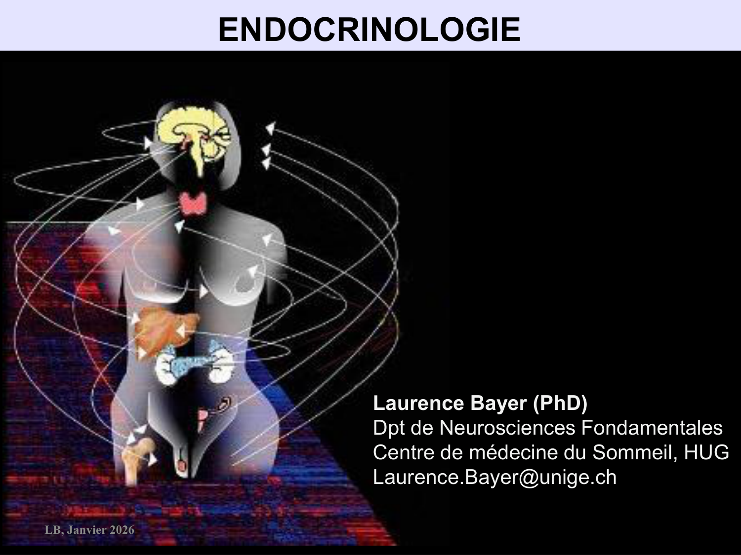 Système hypothalamo-hypophysaire page 1