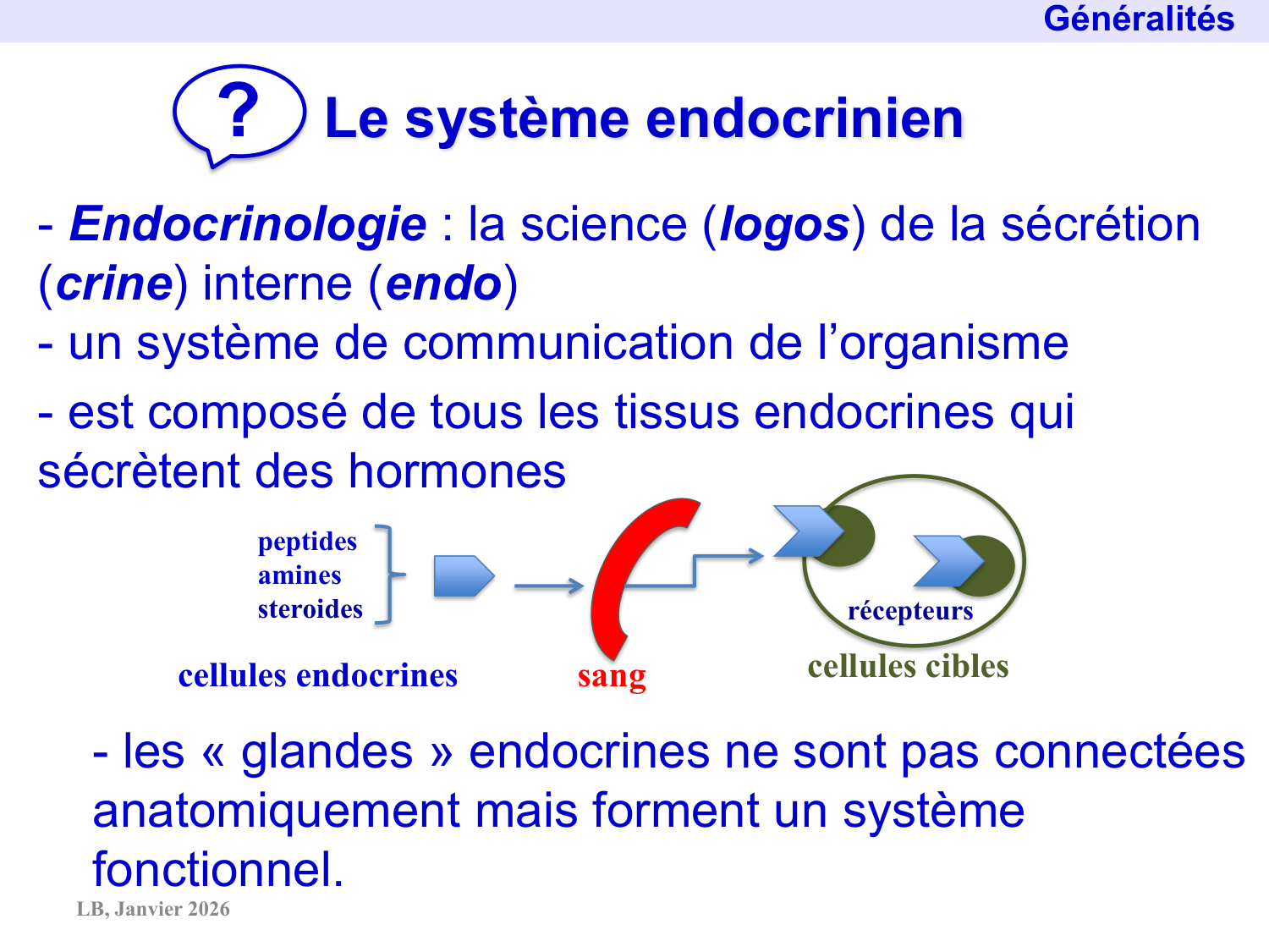 Système hypothalamo-hypophysaire page 7