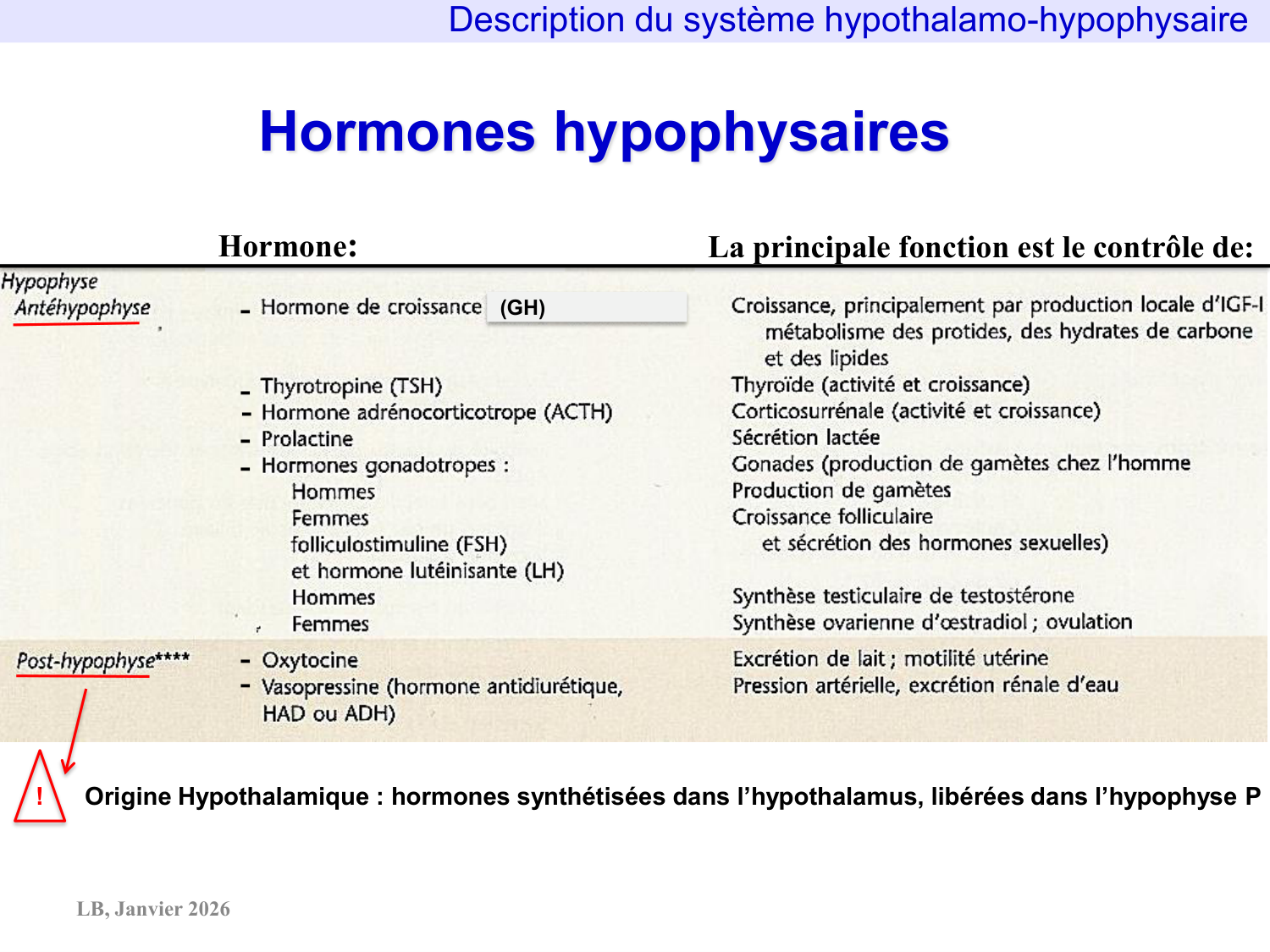 Système hypothalamo-hypophysaire page 17