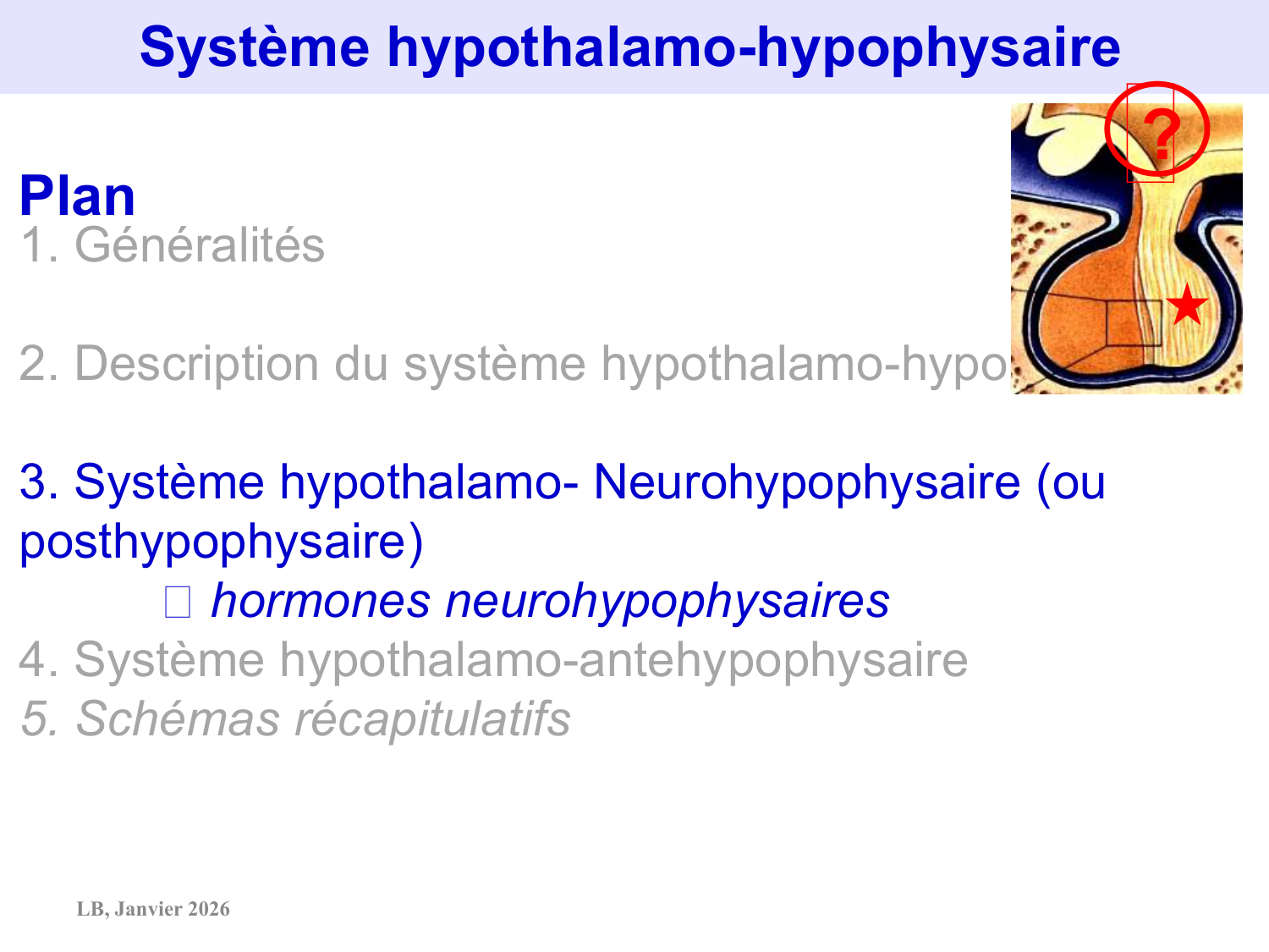 Système hypothalamo-hypophysaire page 27