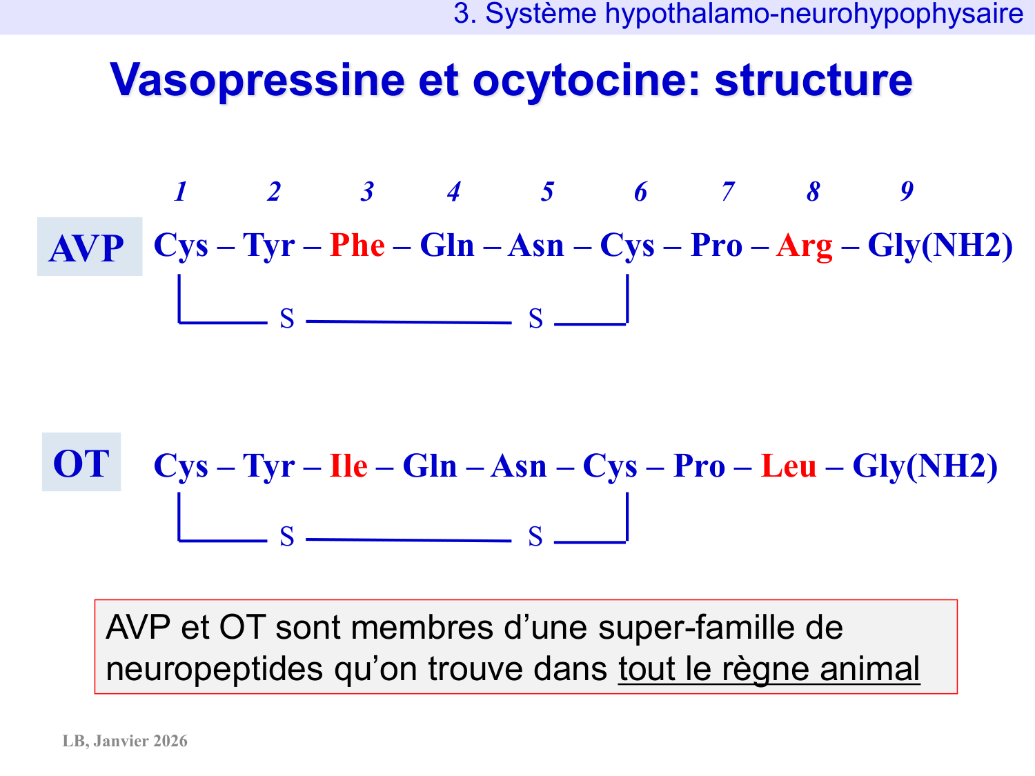Système hypothalamo-hypophysaire page 30
