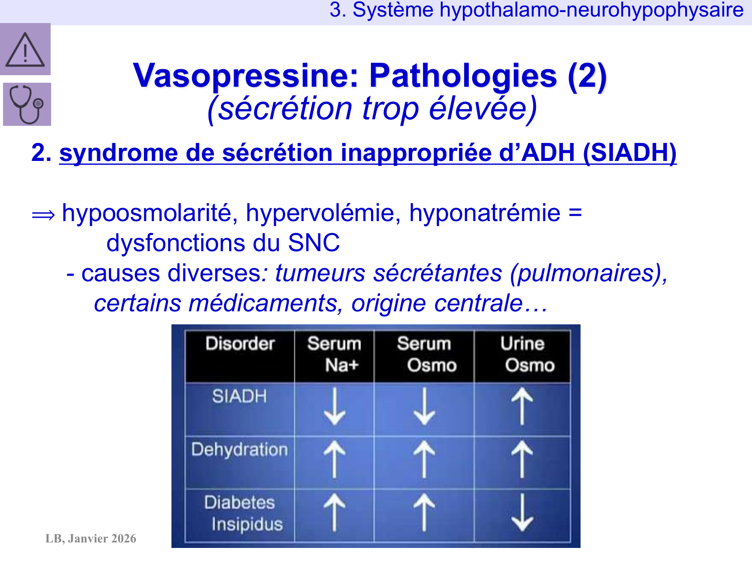 Système hypothalamo-hypophysaire page 52