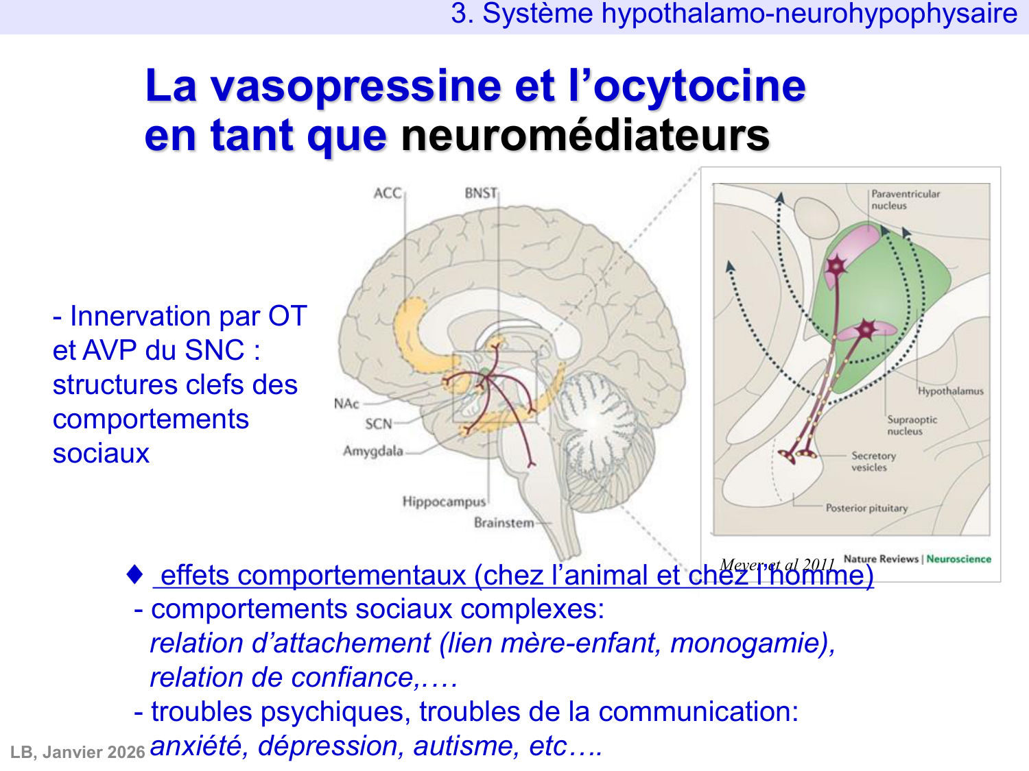 Système hypothalamo-hypophysaire page 55
