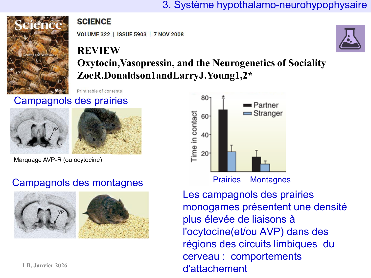 Système hypothalamo-hypophysaire page 56