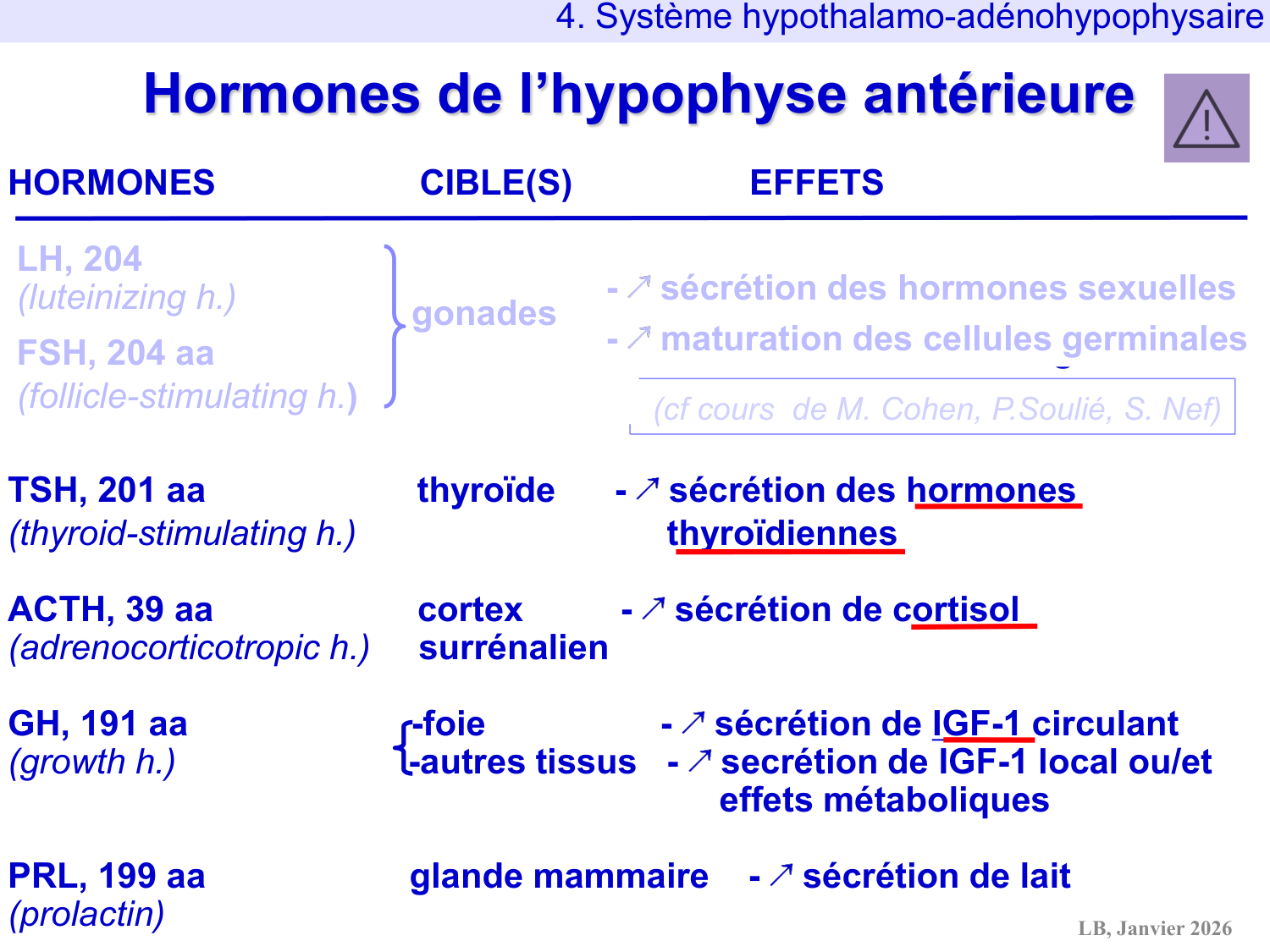 Système hypothalamo-hypophysaire page 61