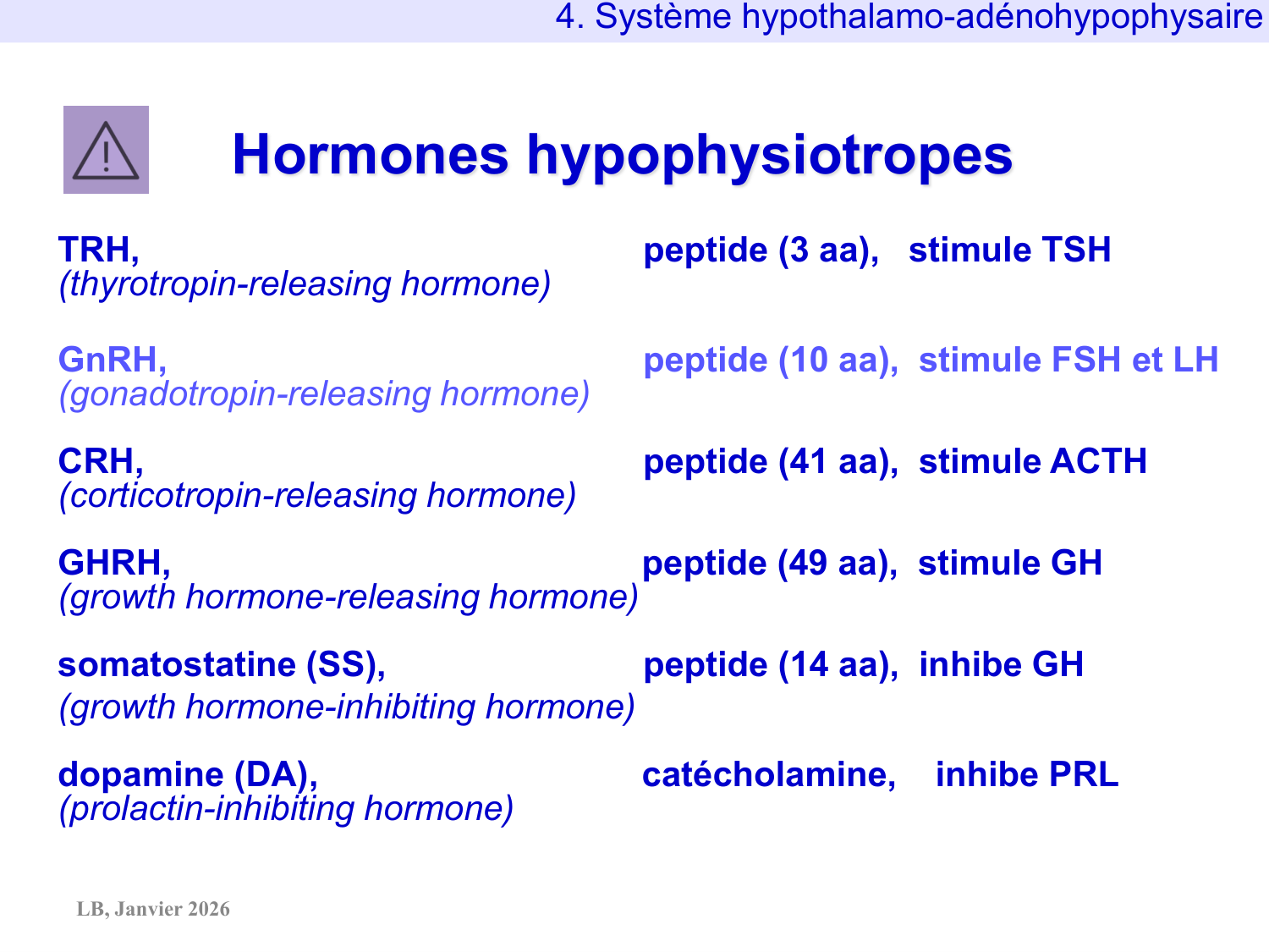 Système hypothalamo-hypophysaire page 68