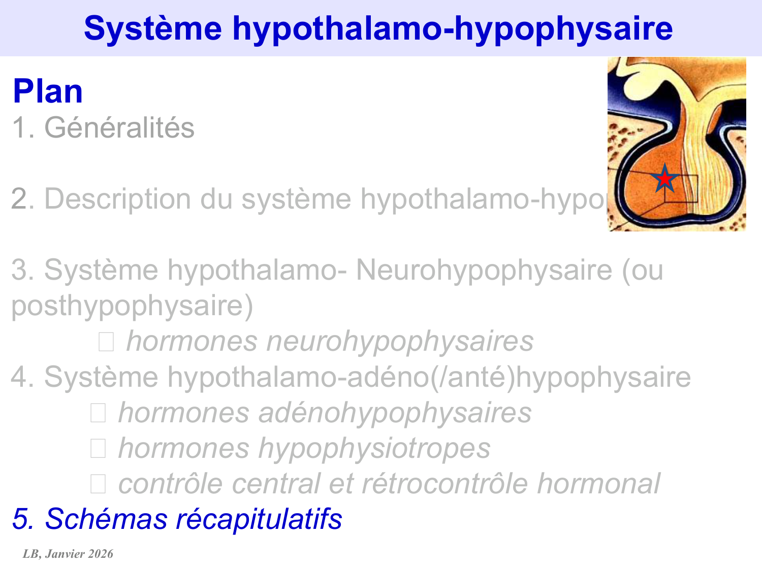 Système hypothalamo-hypophysaire page 80