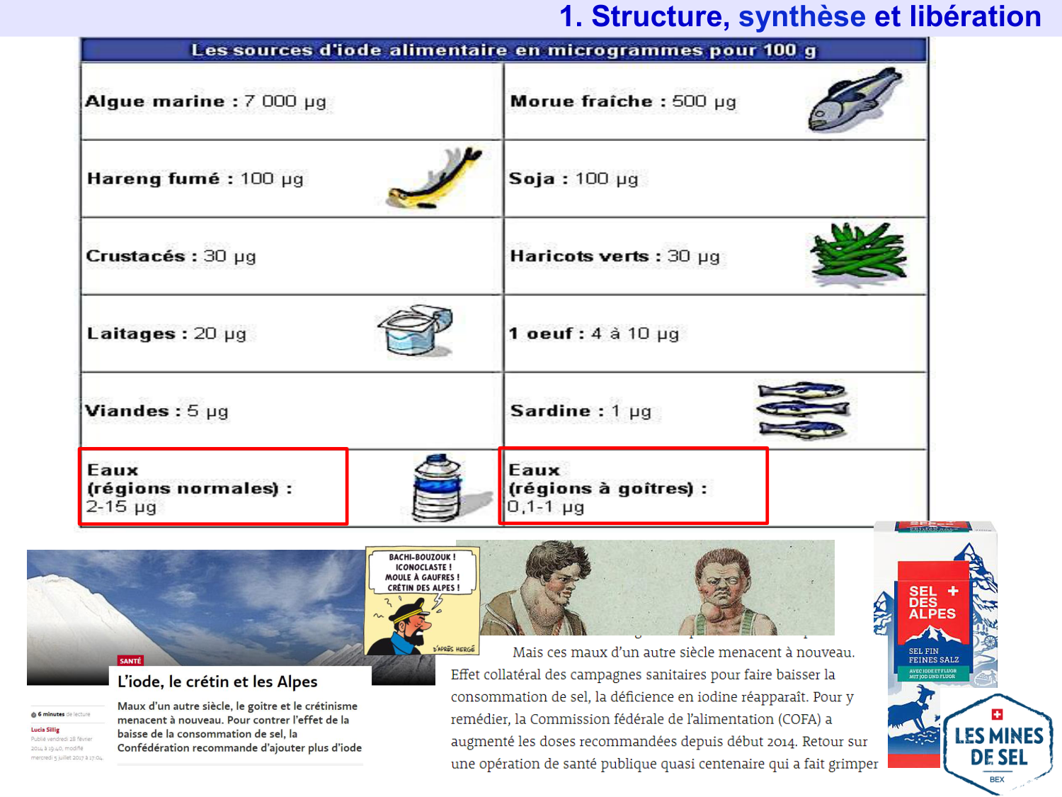 Hormones thyroïdiennes page 6