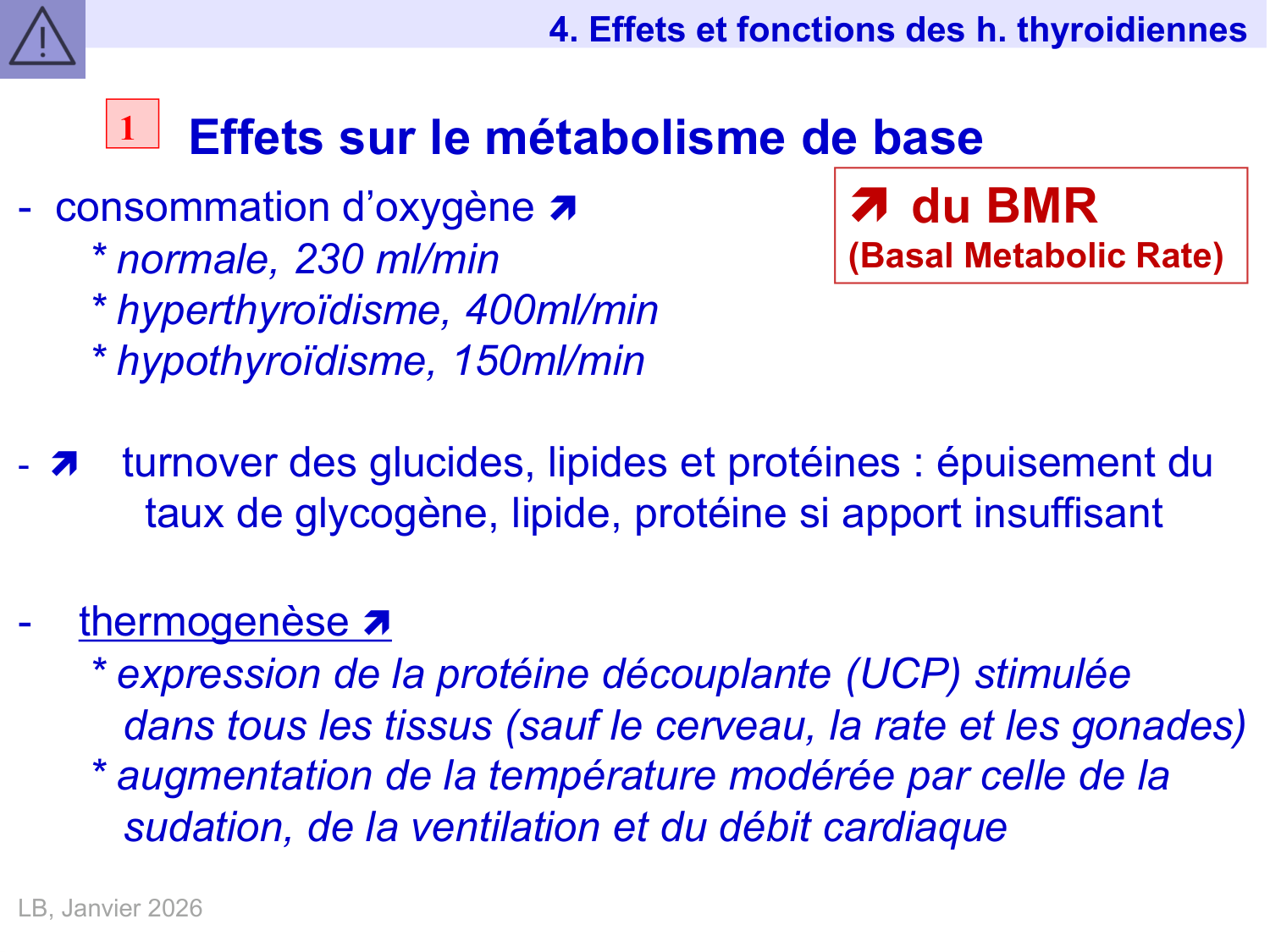Hormones thyroïdiennes page 30