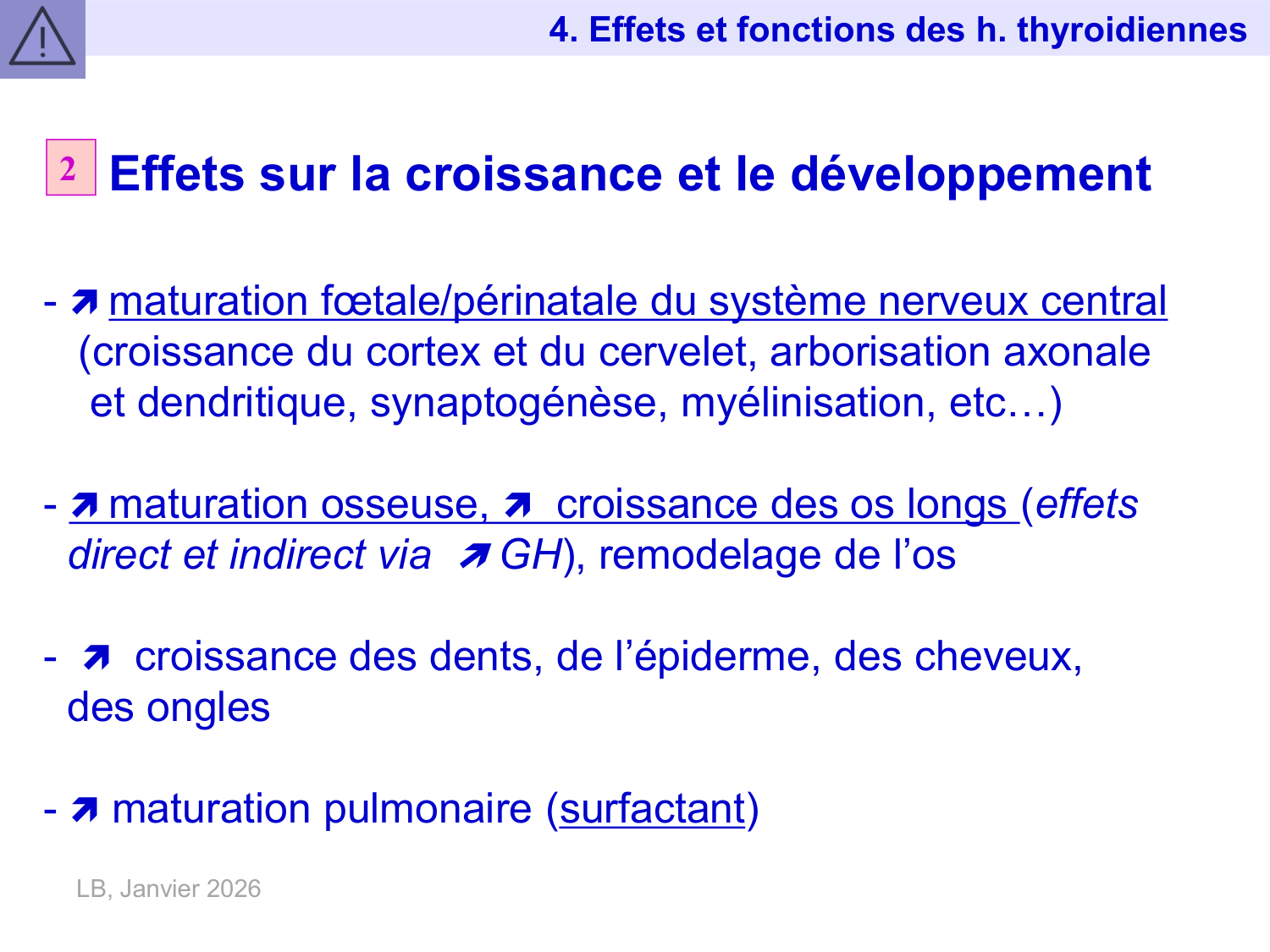 Hormones thyroïdiennes page 31