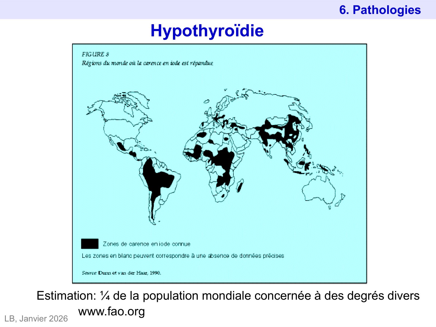 Hormones thyroïdiennes page 50