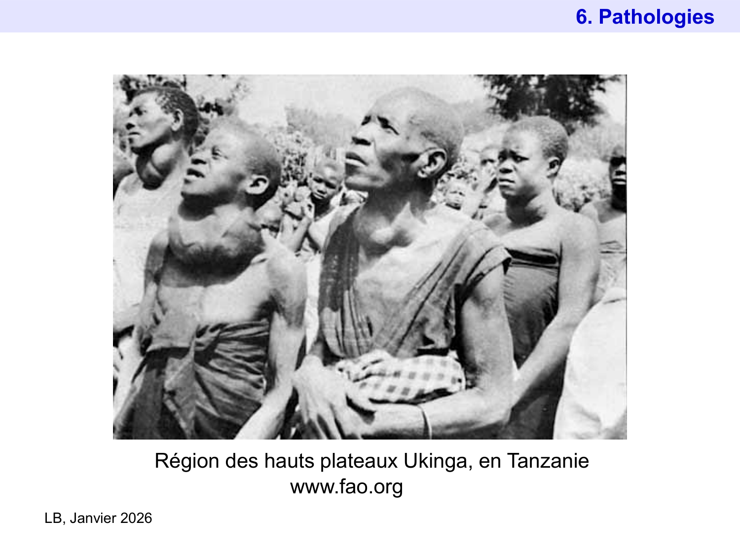 Hormones thyroïdiennes page 51