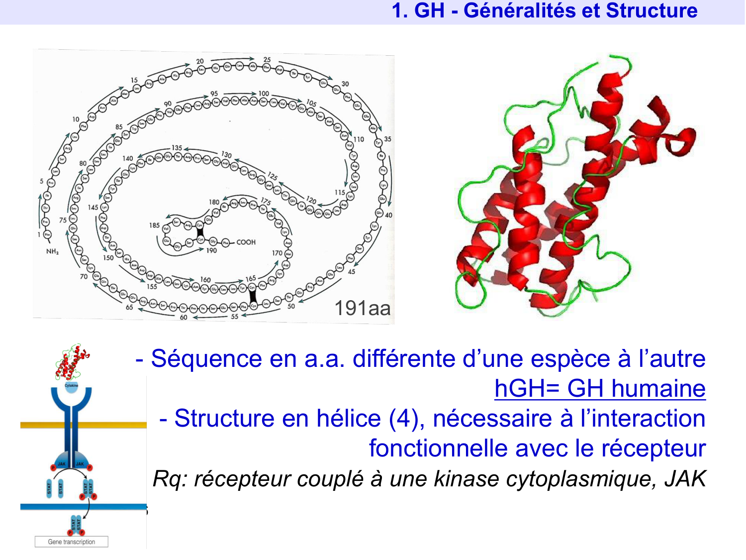 Hormone de croissance et prolactine page 5