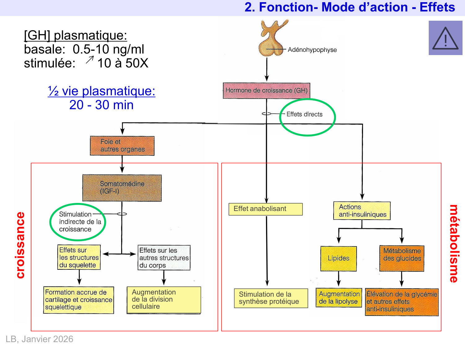 Hormone de croissance et prolactine page 9