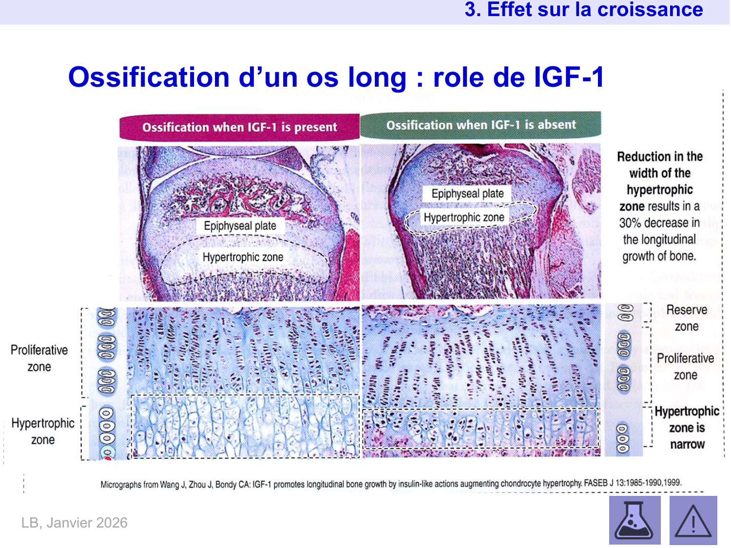 Hormone de croissance et prolactine page 15