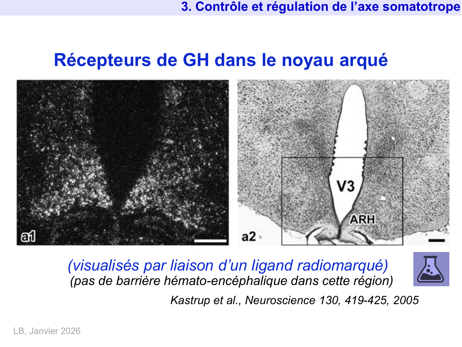 Hormone de croissance et prolactine page 26