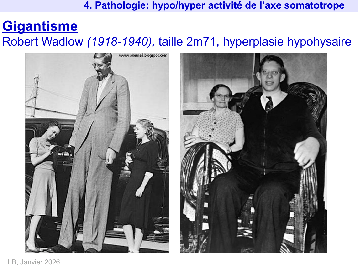 Hormone de croissance et prolactine page 33