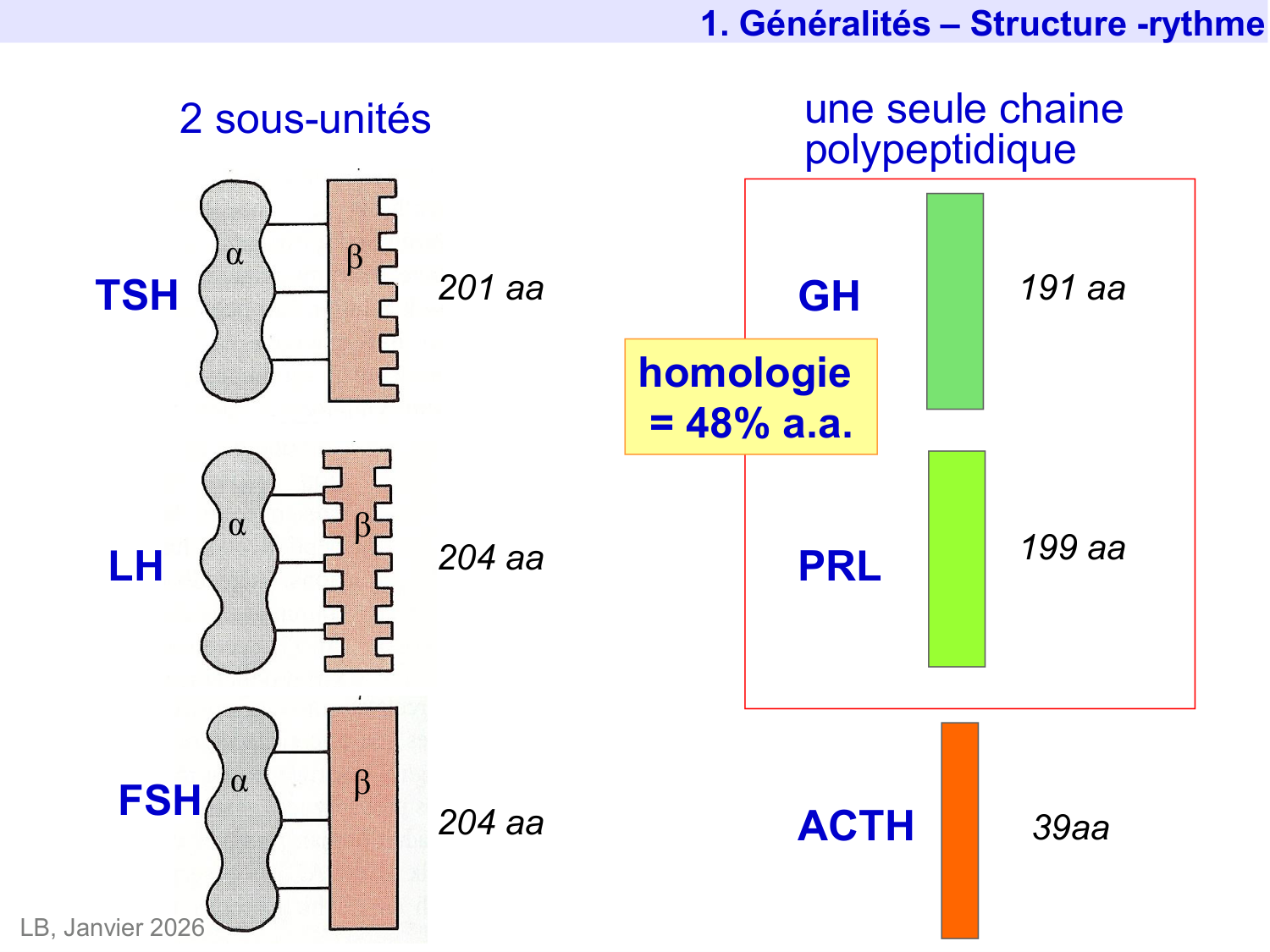 Hormone de croissance et prolactine page 41