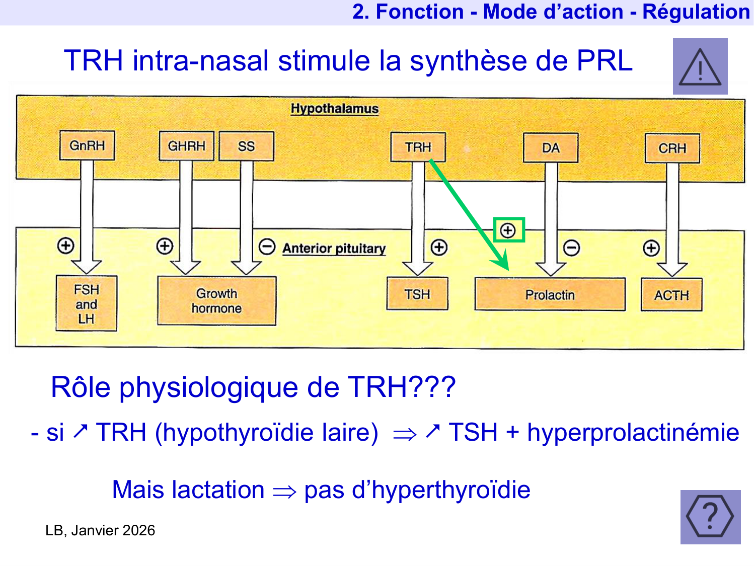 Hormone de croissance et prolactine page 53