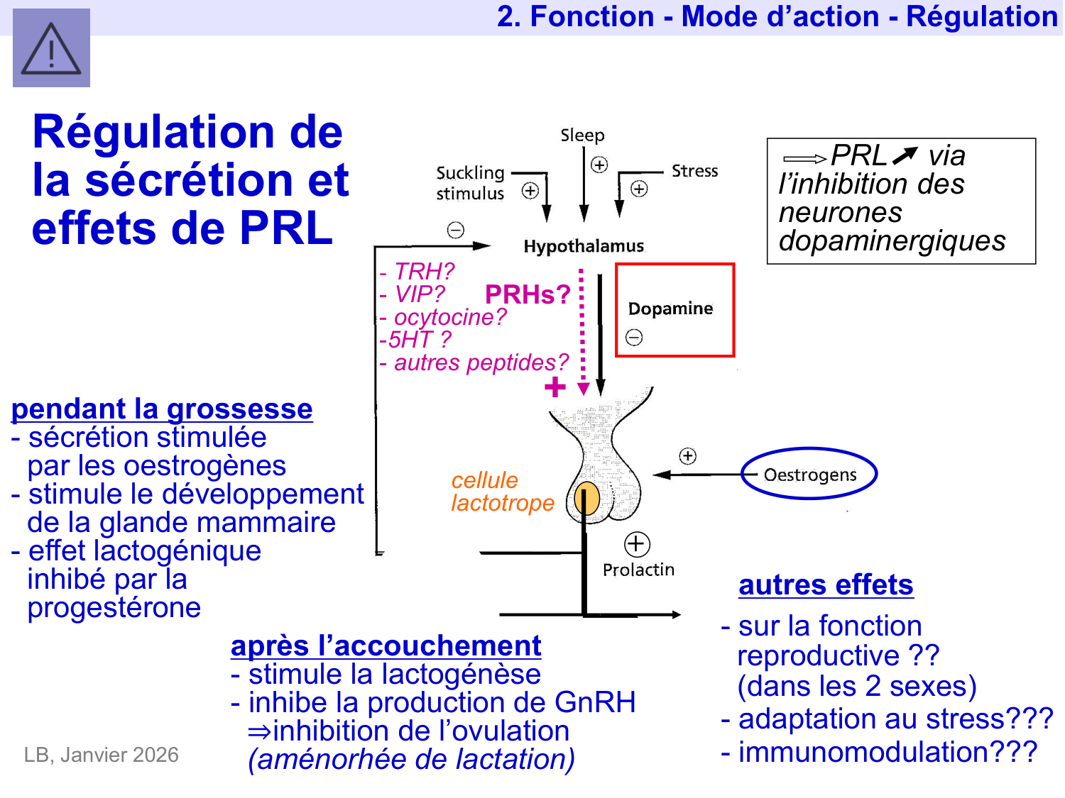 Hormone de croissance et prolactine page 56