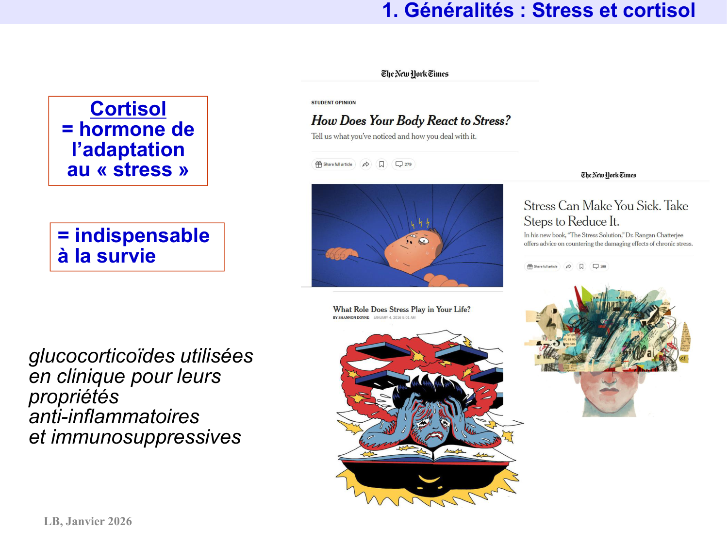 Axe CRH-ACTH-cortisol page 4
