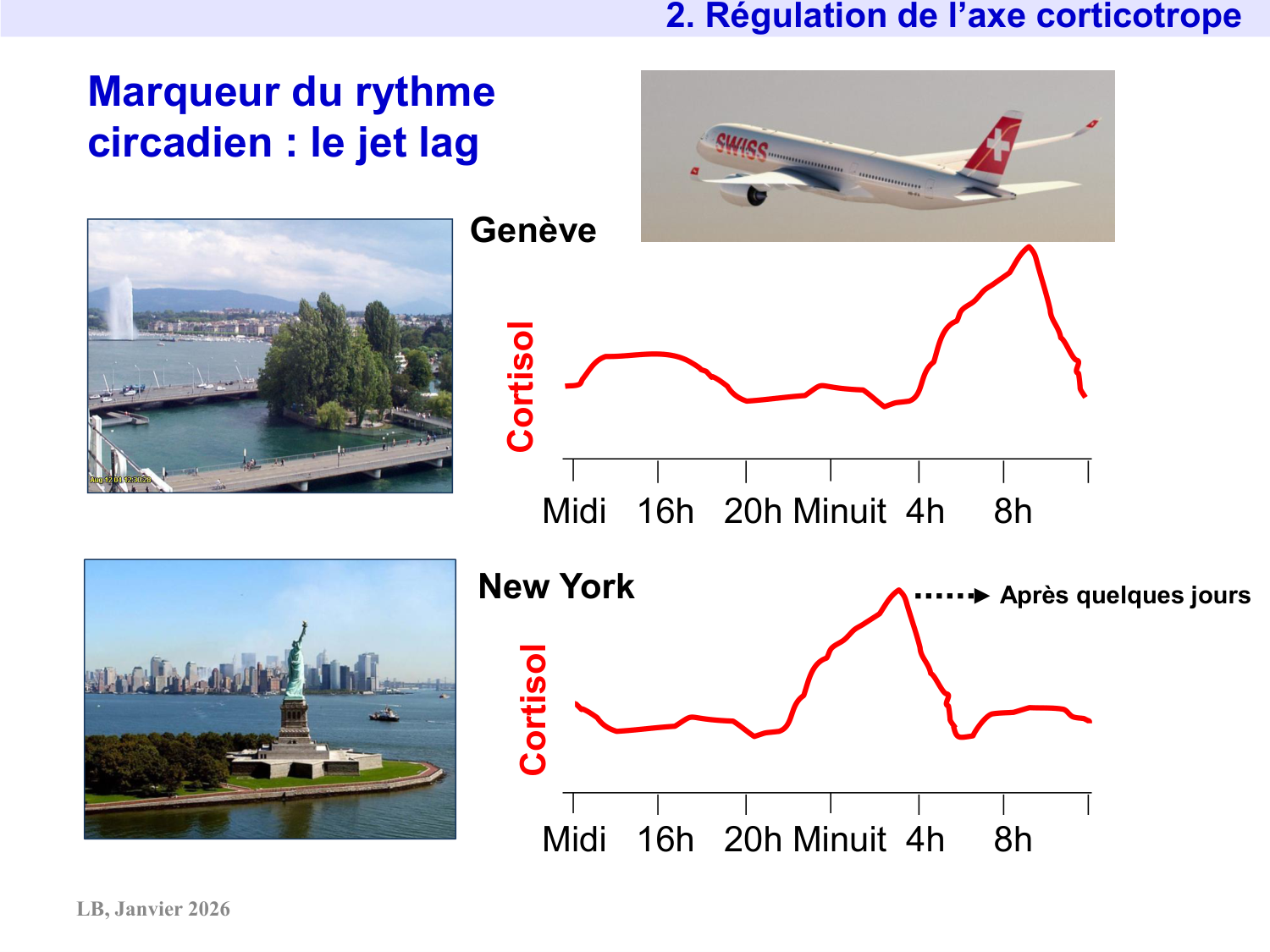 Axe CRH-ACTH-cortisol page 12