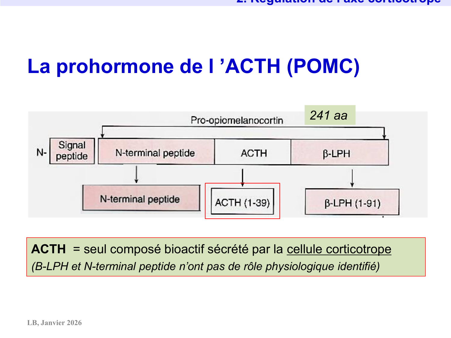Axe CRH-ACTH-cortisol page 20
