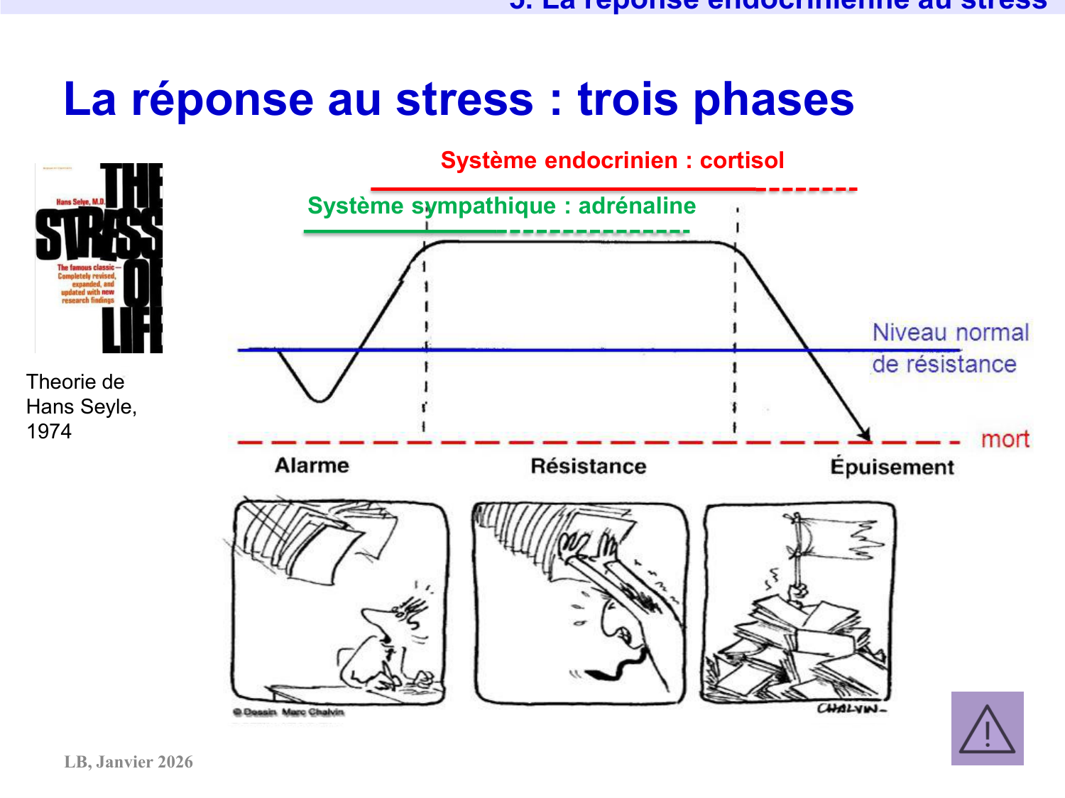 Axe CRH-ACTH-cortisol page 39