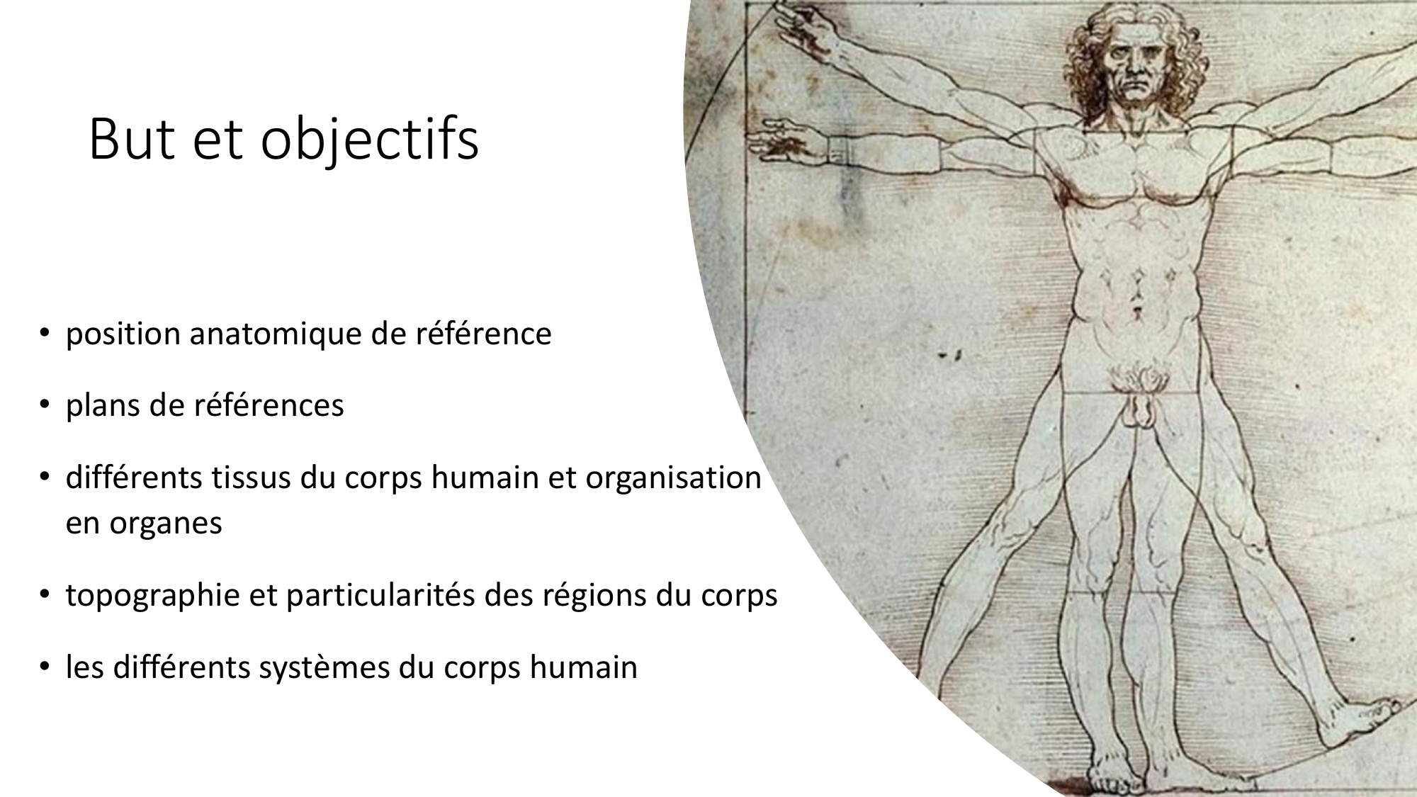 cours dintroduction anatomie 2025-26 page 6