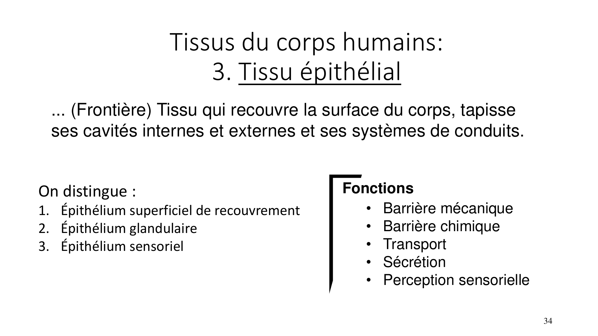 cours dintroduction anatomie 2025-26 page 34