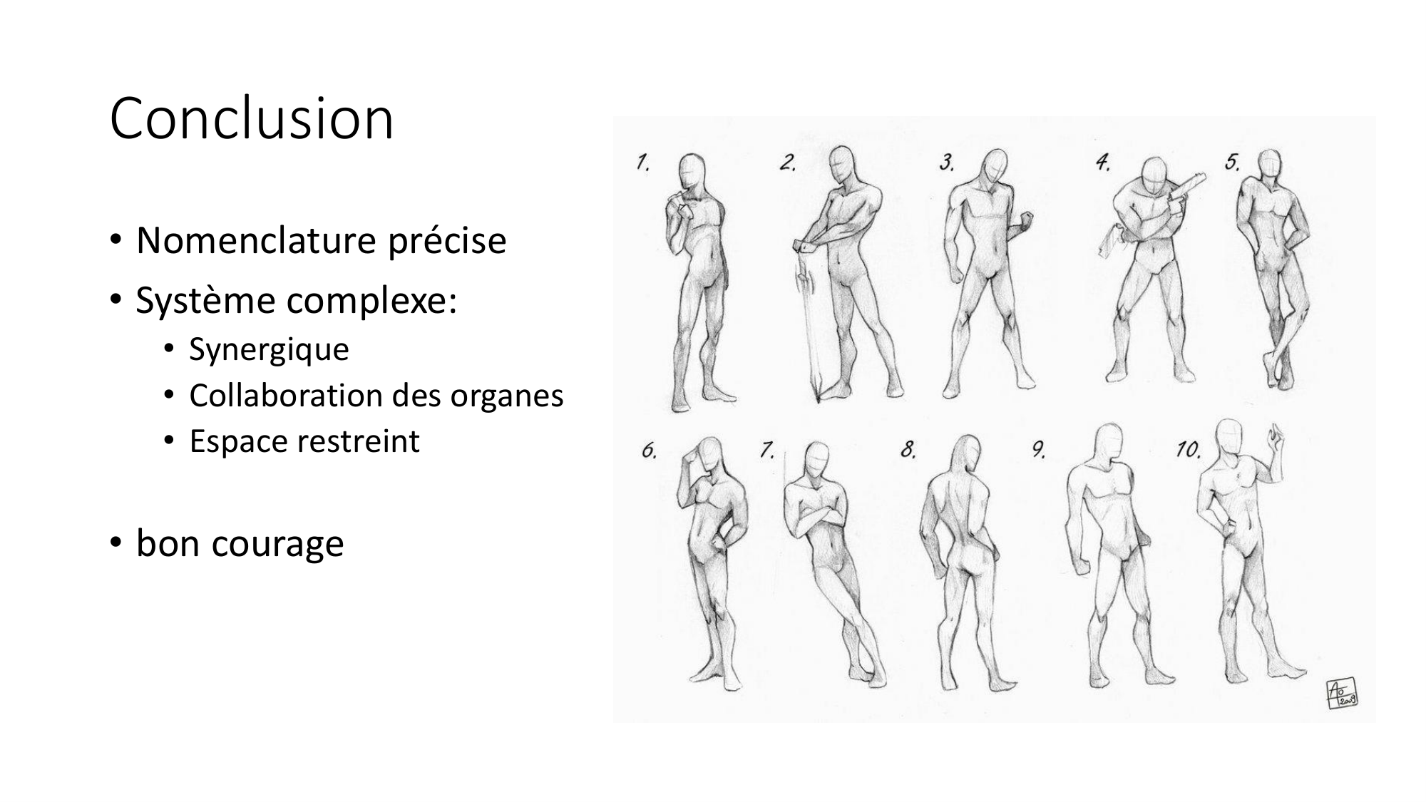 cours dintroduction anatomie 2025-26 page 76
