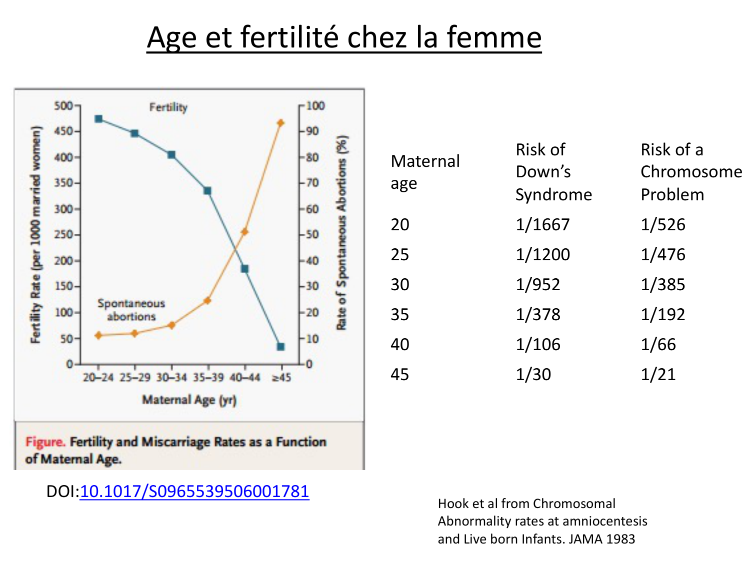 Reproduction — synthèse page 13