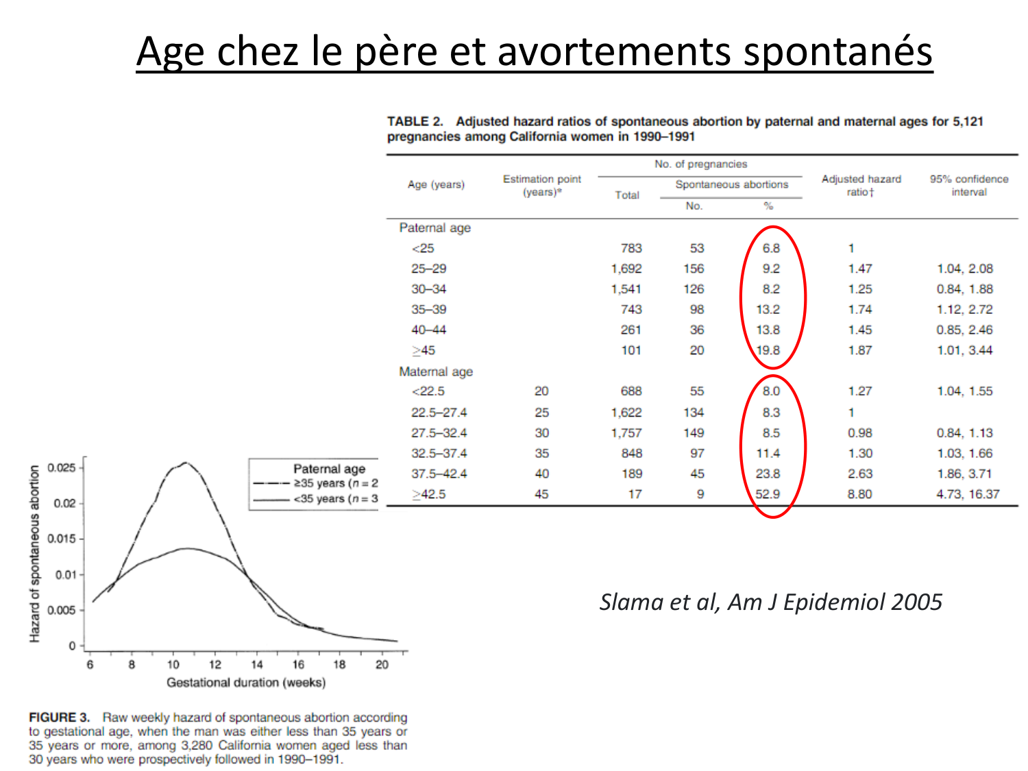 Reproduction — synthèse page 14