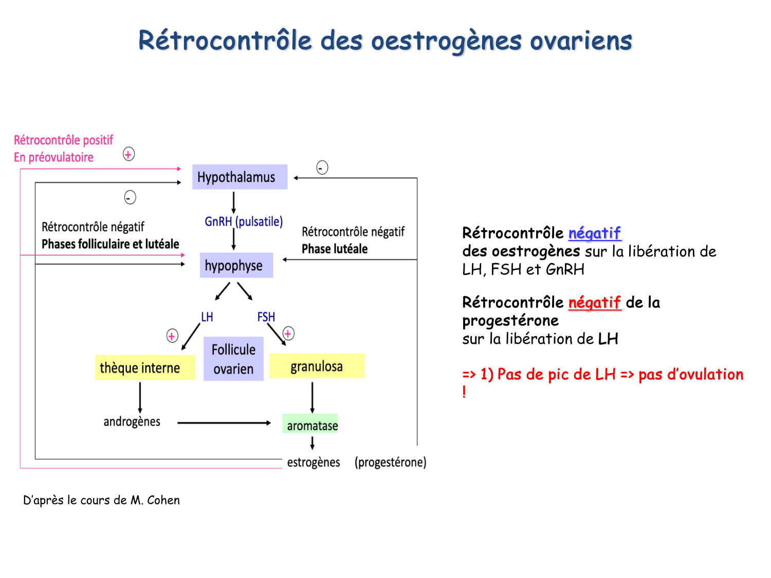 Reproduction — synthèse page 20