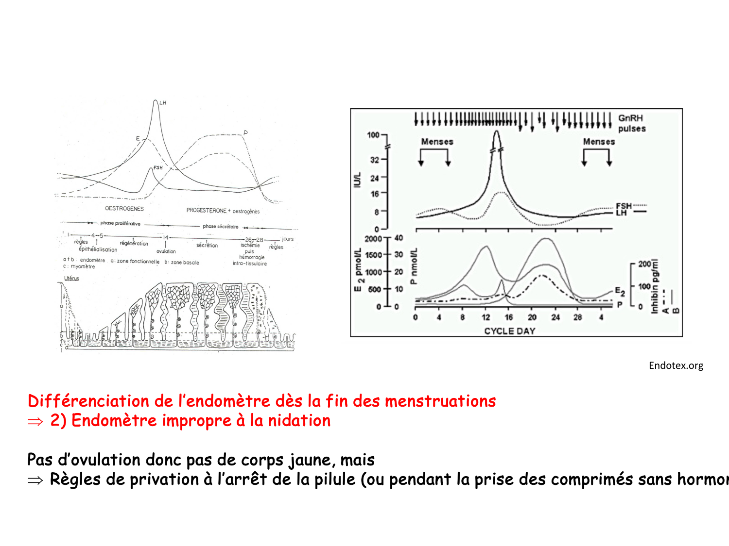 Reproduction — synthèse page 21