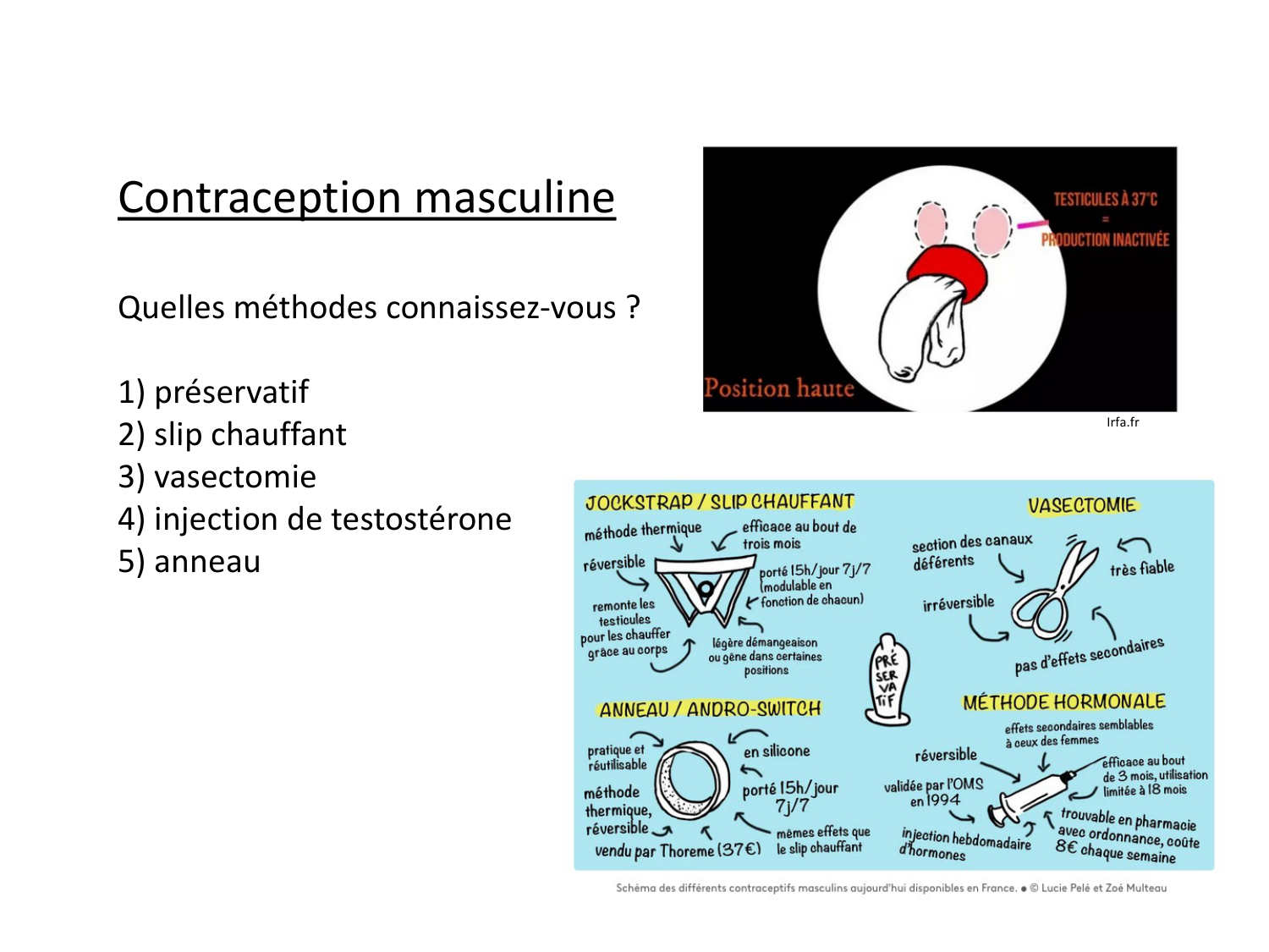 Reproduction — synthèse page 24