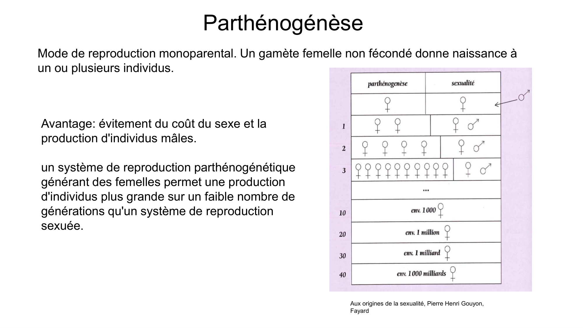 Gamétogenèse page 3