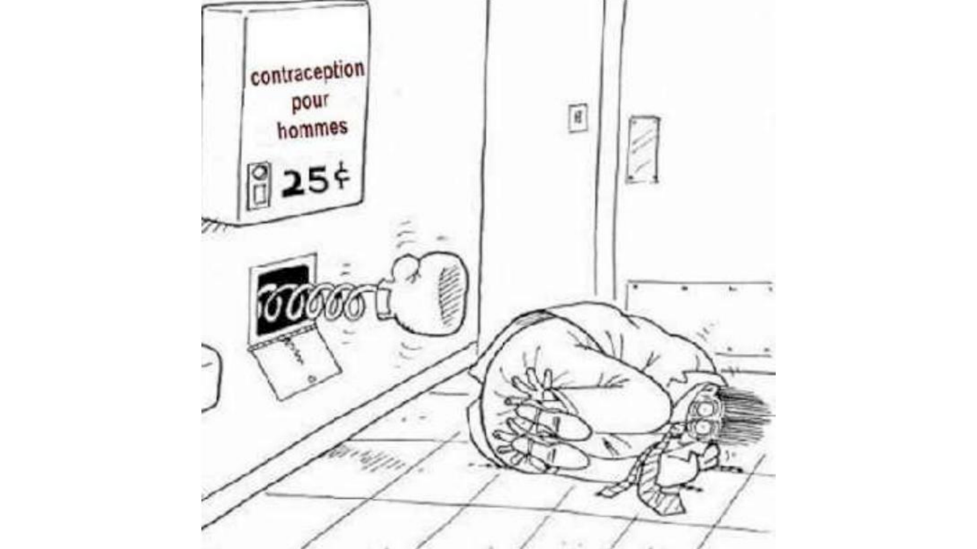 Gamétogenèse page 44