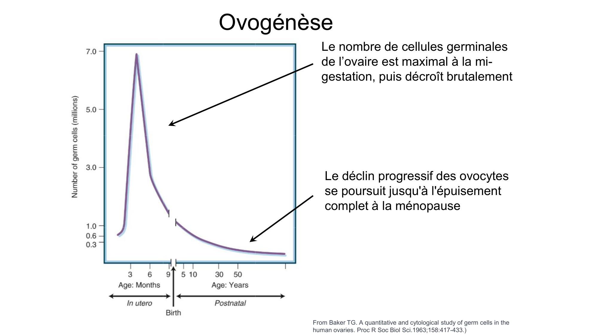 Gamétogenèse page 47