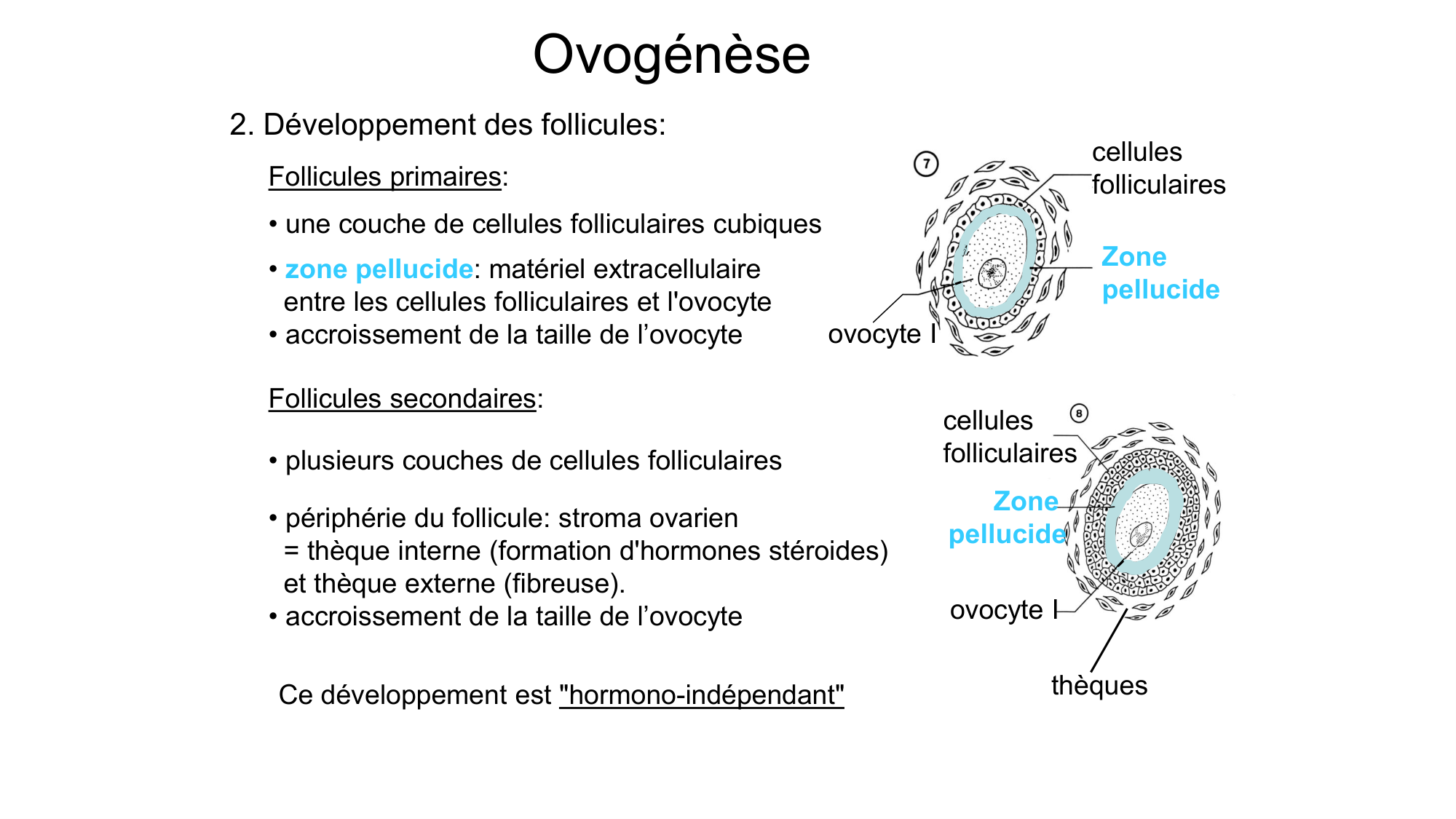 Gamétogenèse page 48