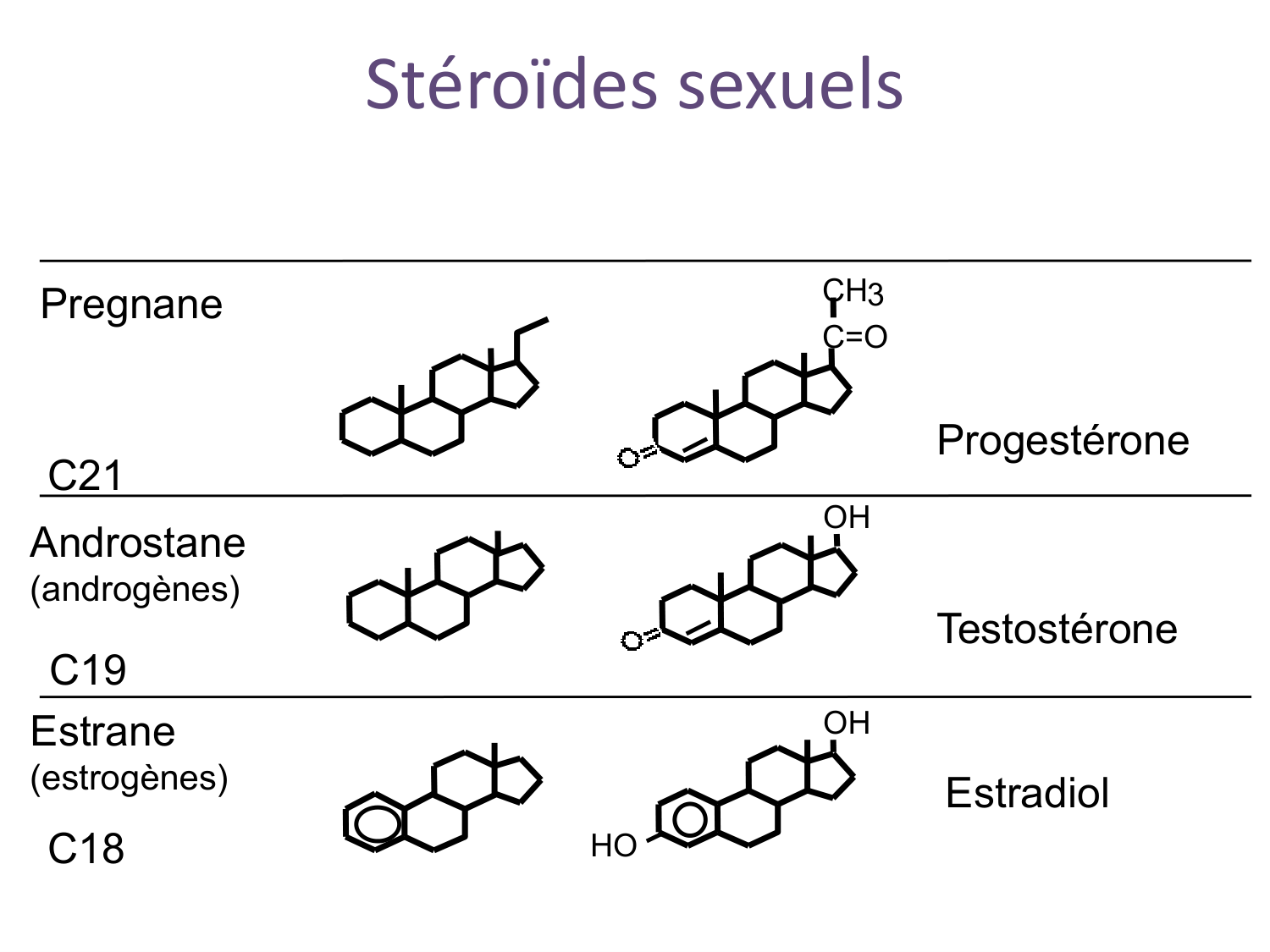 Hormones sexuelles page 8