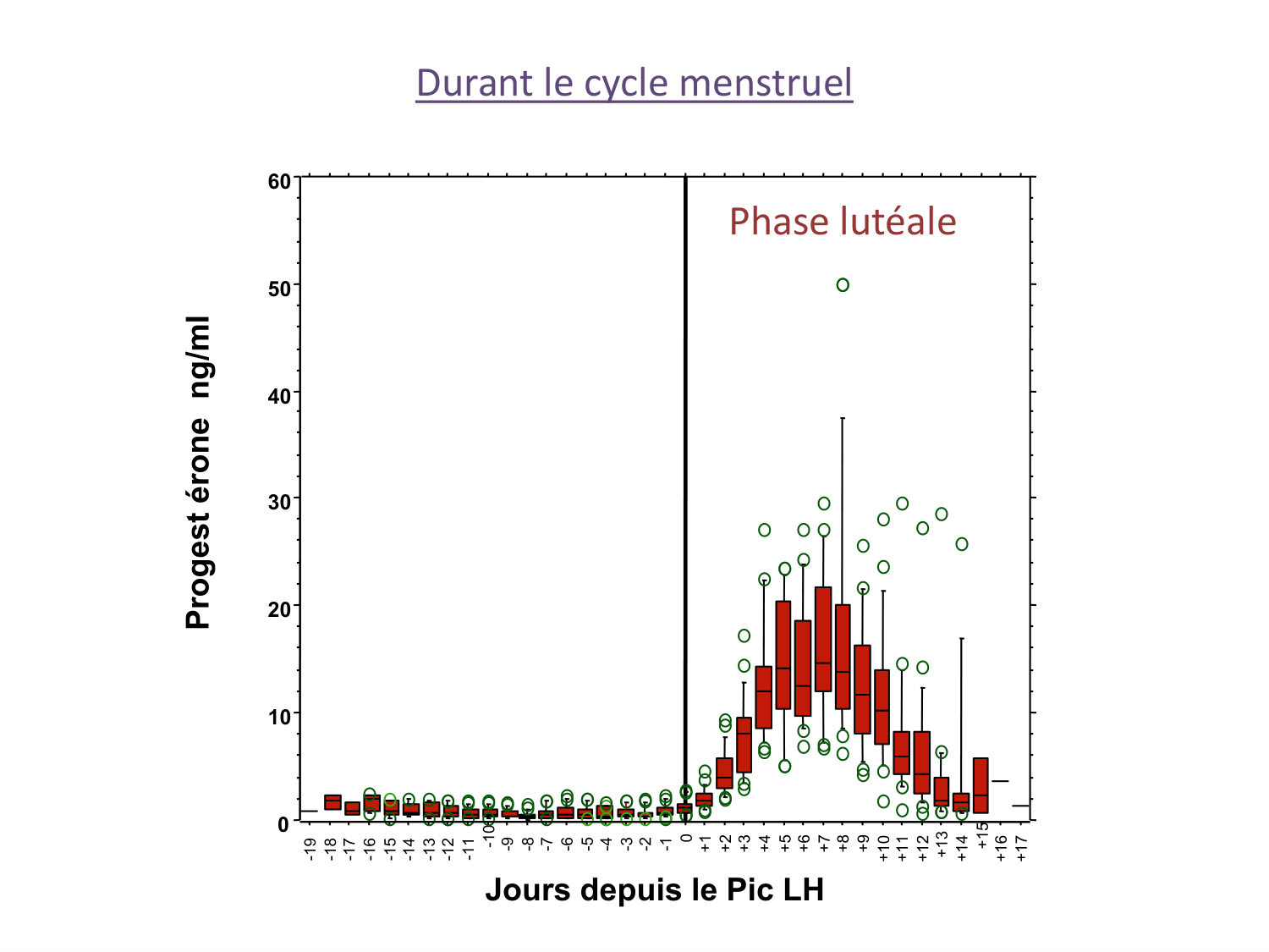 Hormones sexuelles page 28